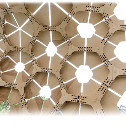 Rhino 8 | Ticari